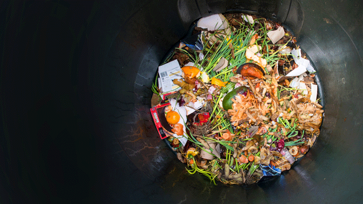 Reducing food waste does reverse global warming